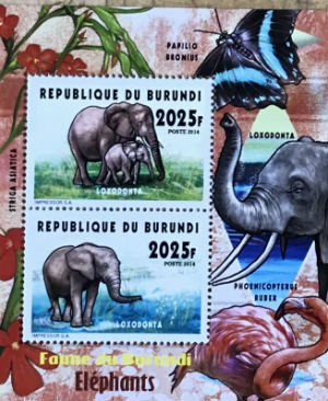 Timbres