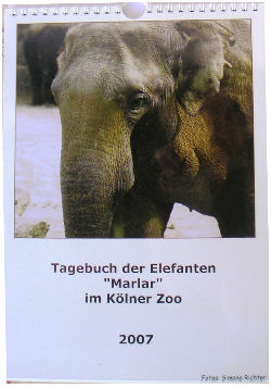 Calendriers · Calendriers Mureaux