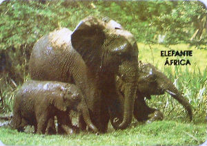 Calendriers · Portugal