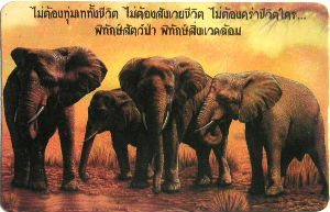 Calendriers · Thailande