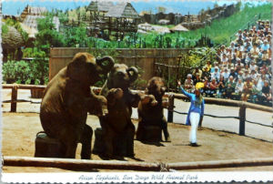 Cartes · Cartes postales Asie