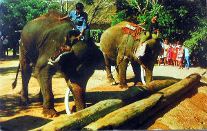 Cartes · Cartes postales Asie - Thaïlande