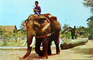 Cartes · Cartes postales Asie - Thaïlande