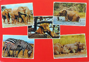 Cartes · Cartes postales Afrique