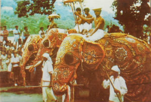 Cartes · Cartes postales Asie - Cambodge, Inde, Laos, Sri Lanka