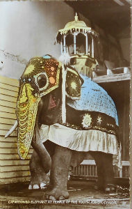 Cartes · Cartes postales Asie - Cambodge, Inde, Laos, Sri Lanka