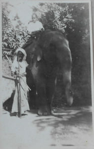 Cartes · Cartes postales Asie - Cambodge, Inde, Laos, Sri Lanka