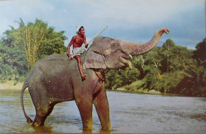 Cartes · Cartes postales Asie - Cambodge, Inde, Laos, Sri Lanka