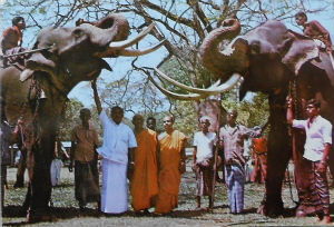 Cartes · Cartes postales Asie - Cambodge, Inde, Laos, Sri Lanka