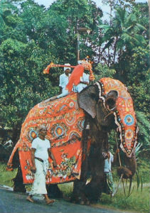 Cartes · Cartes postales Asie - Cambodge, Inde, Laos, Sri Lanka