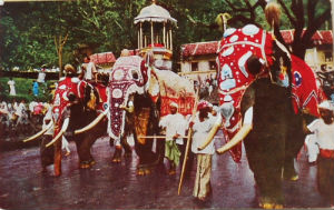 Cartes · Cartes postales Asie - Cambodge, Inde, Laos, Sri Lanka