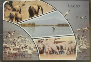Cartes · Cartes postales Afrique