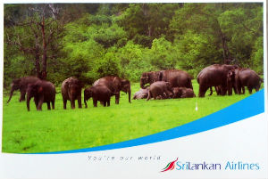 Cartes · Cartes postales Asie - Éléphants d'Asie