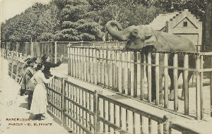 Cartes · Cartes postales Asie