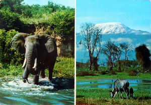 Cartes · Cartes postales Afrique