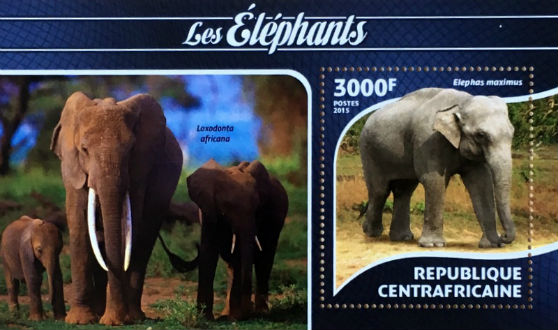 Timbres · Centre Afrique
