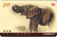 Cartes · Série China 200