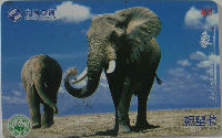 Cartes · China SATCOM