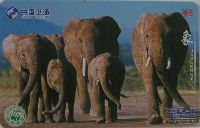 Cartes · China SATCOM