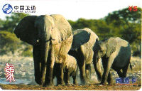 Cartes · China SATCOM
