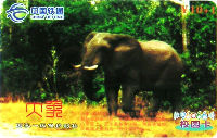 Cartes · China TIETONG
