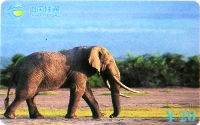 Cartes · China TIETONG