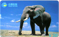 Cartes · China TIETONG