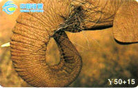Cartes · China TIETONG