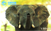 Cartes · China TIETONG