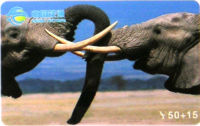 Cartes · China TIETONG
