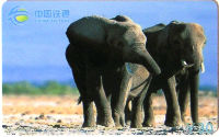 Cartes · China TIETONG