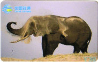 Cartes · China TIETONG