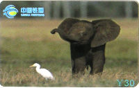 Cartes · China TIETONG