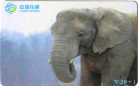 Cartes · China TIETONG