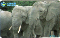Cartes · China TIETONG