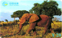 Cartes · China TIETONG