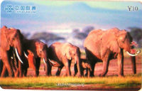 Cartes · China UNICOM