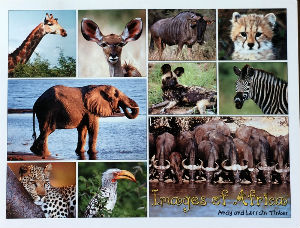 Cartes · Cartes postales Afrique