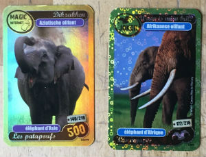 Cartes · Dream Works
