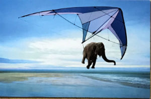 Cartes · Cartes postales Humour