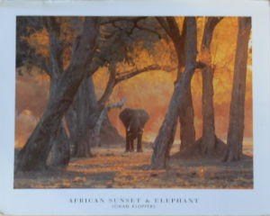 Cartes · Cartes postales Afrique