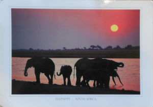 Cartes · Cartes postales Afrique