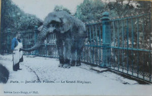 Cartes · Cartes postales Afrique