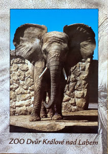 Cartes · Cartes postales Afrique