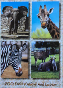 Cartes · Cartes postales Afrique