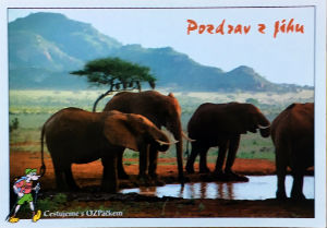 Cartes · Cartes postales Afrique