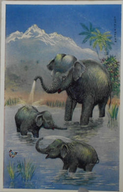 Cartes · Cartes postales Art