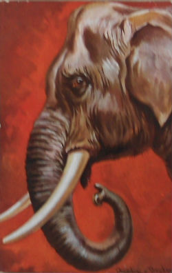 Cartes · Cartes postales Art