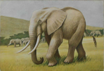 Cartes · Cartes postales Art
