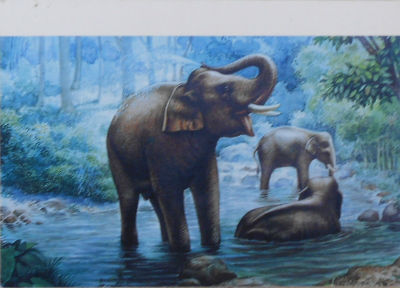 Cartes · Cartes postales Art
